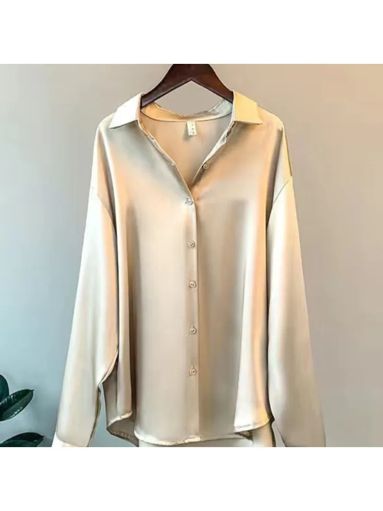 Artı Boyutu Rahat Kadın Ipek G - Silk Blouse incelemesi ve fiyatı